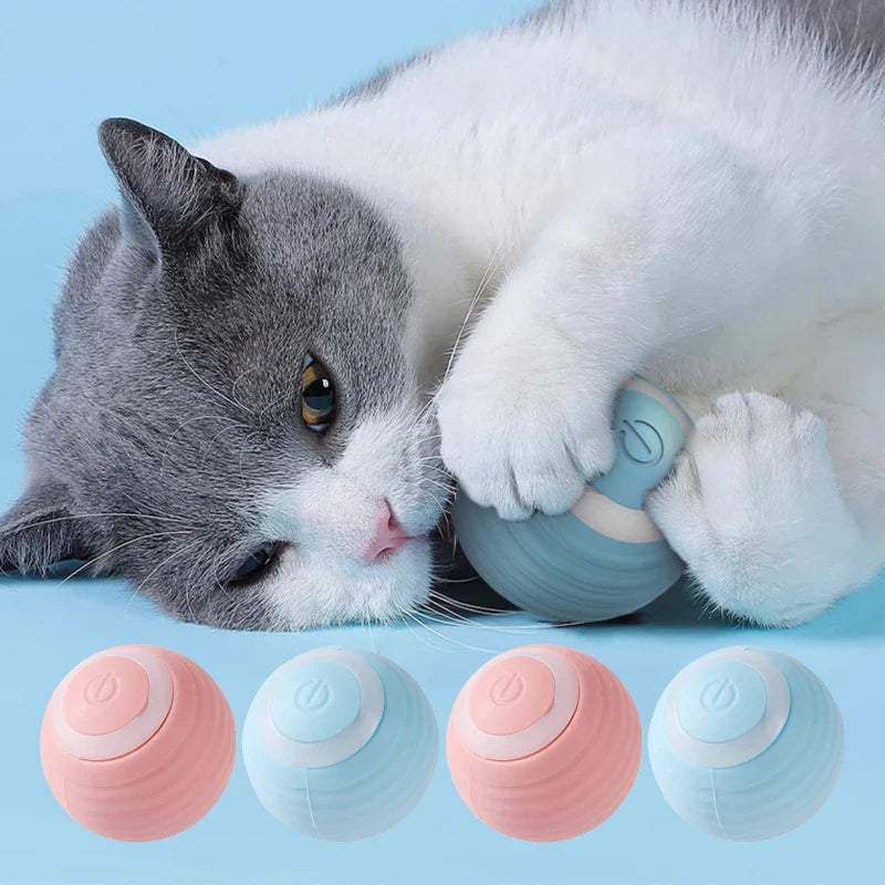 Cat toys